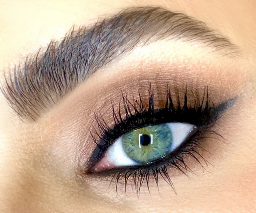 NEW Zoom Brow Classes!!